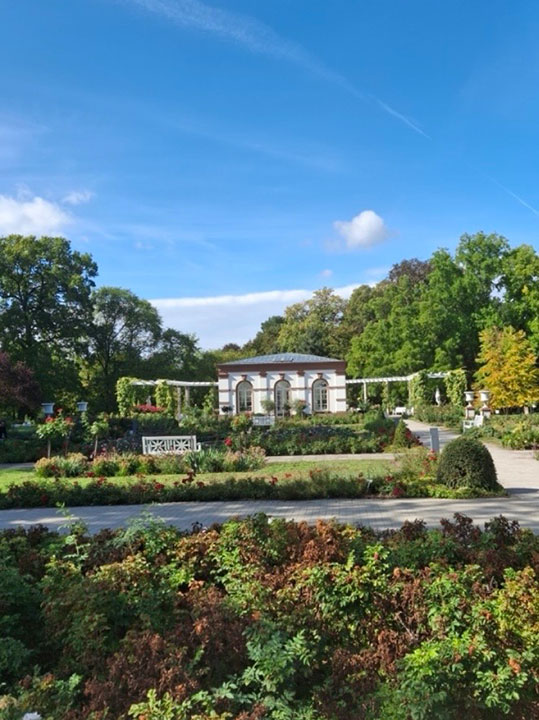 Im Palmengarten Frankfurt