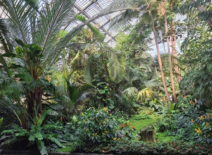 Im Palmengarten Frankfurt